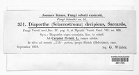 Melanconiella hyperopta image